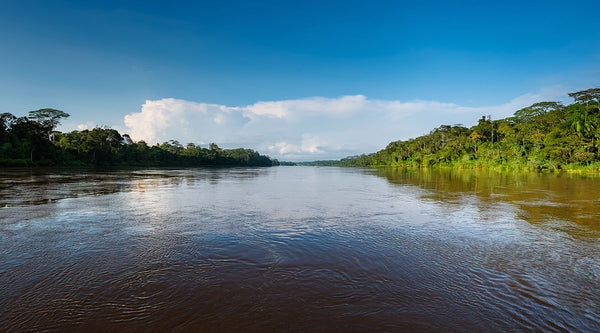 Wide river with lush greenery on either side under a blue sky with clouds